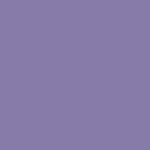 紫苑色 - しおんいろ