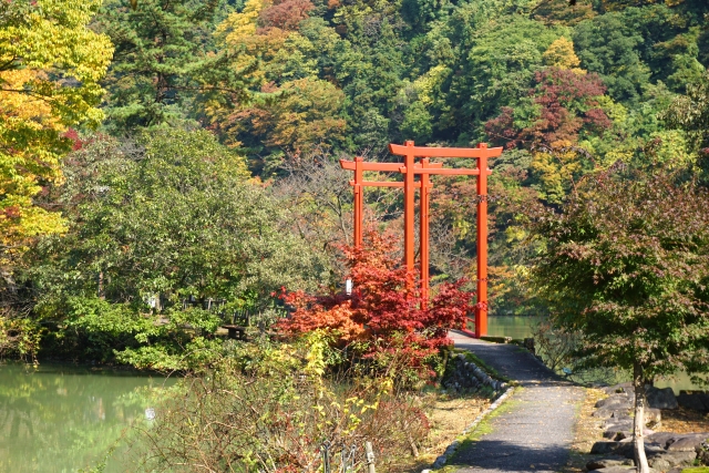 鯉恋の宮 富山県のパワースポット 神社 パワースポット検索 神社
